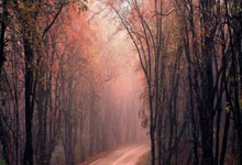 征途国际：[冰雪]世界女子冰壶锦标赛循环赛：挪威VS中国.