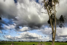 征途国际:阿方索经纪人:我和马希沟通了多次,我们将全力保障球员康复.